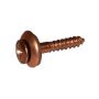 Copper Screws - Bag of 20